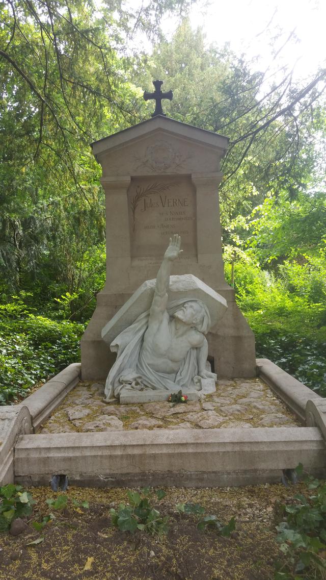 Picture for question