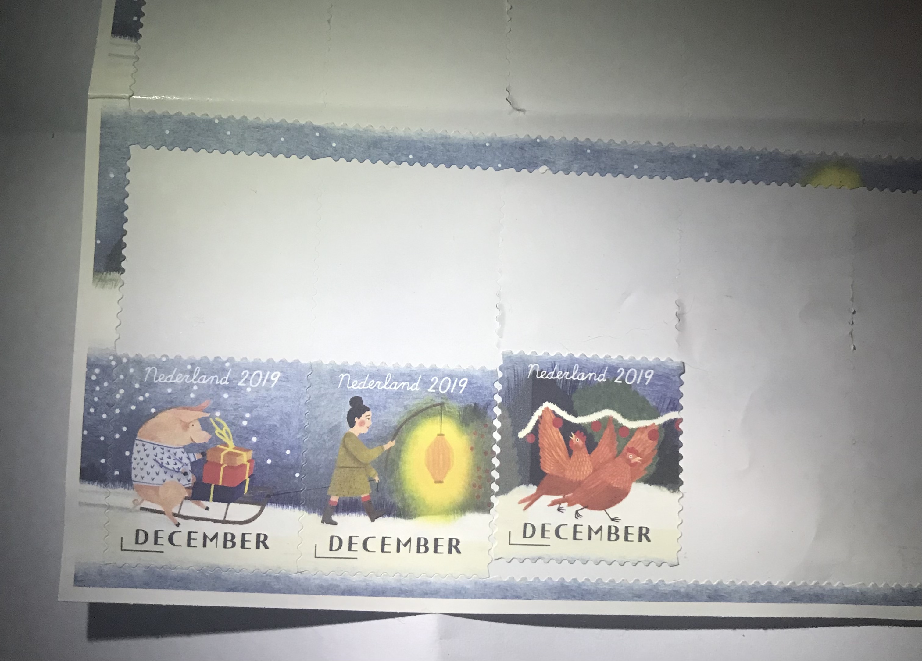 Picture for question