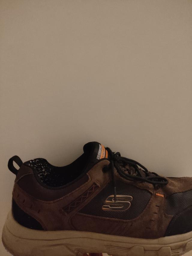 Picture for question