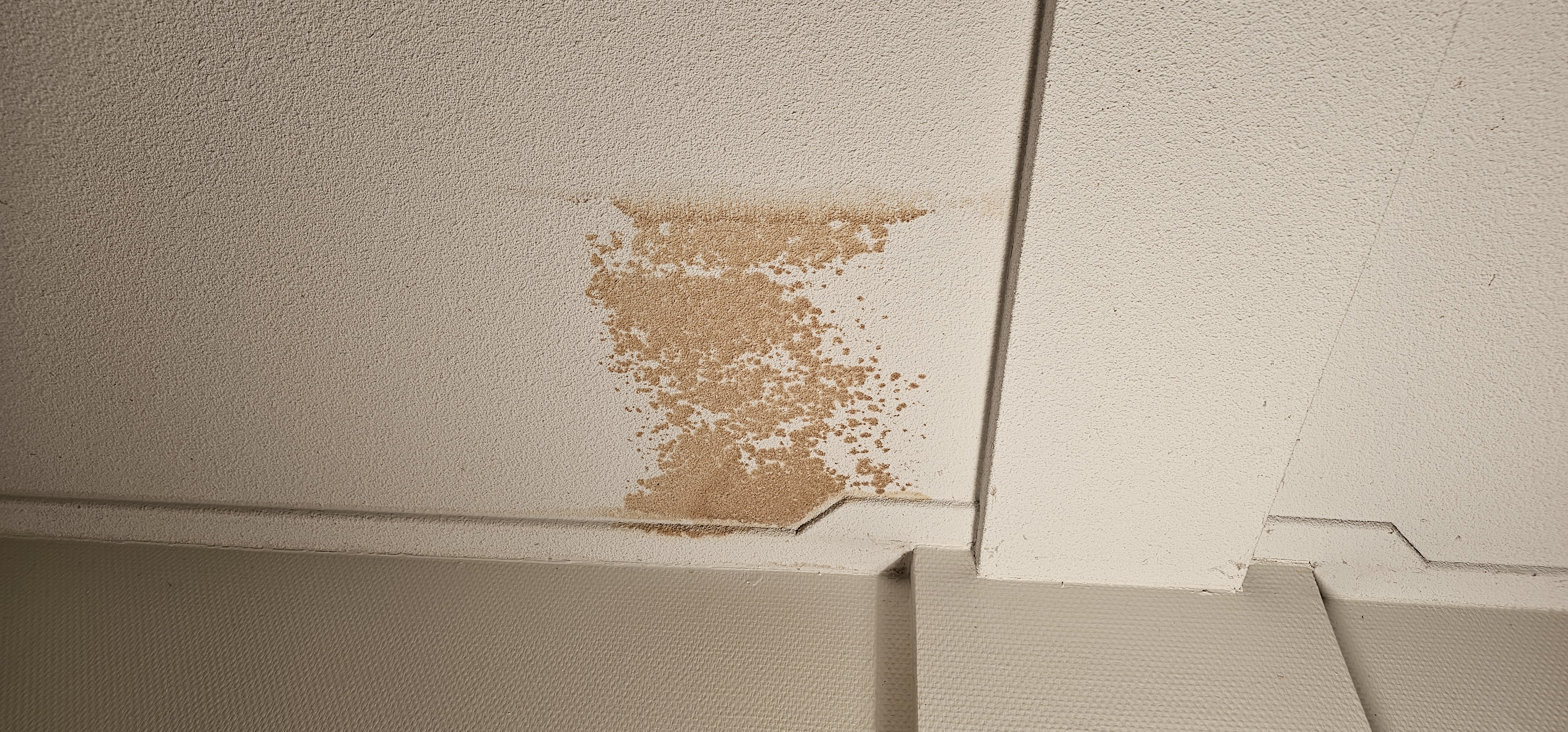 Picture for question