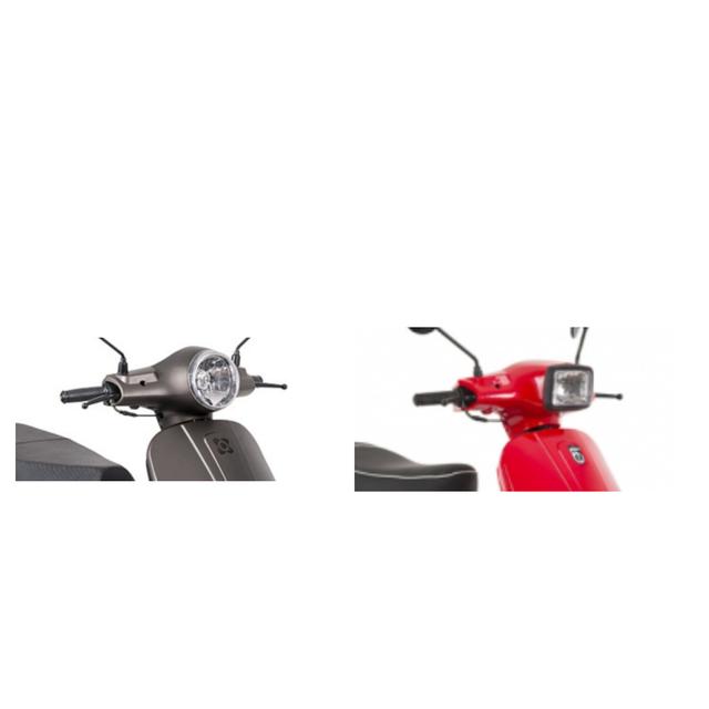 Picture for question