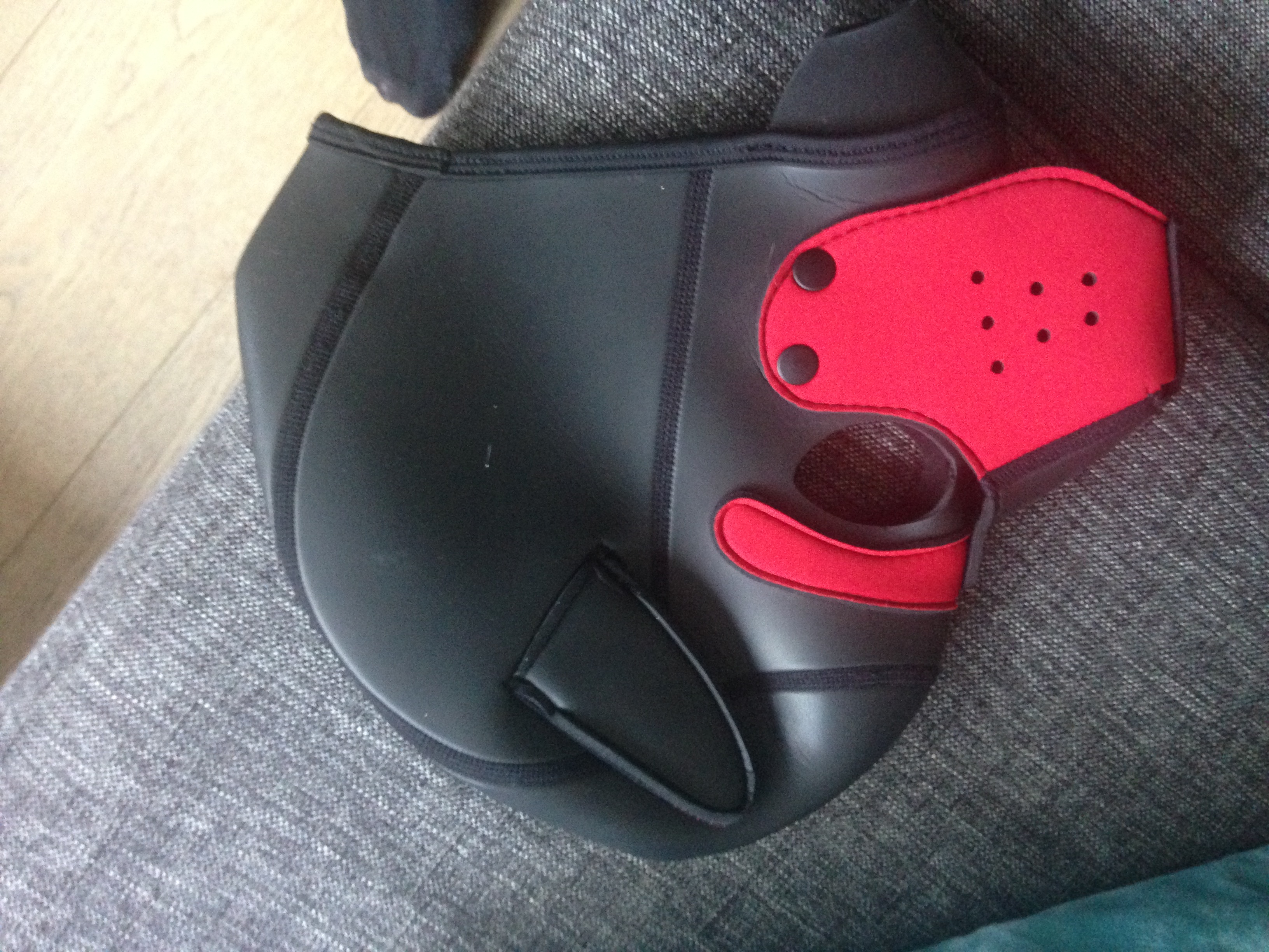 Picture for question