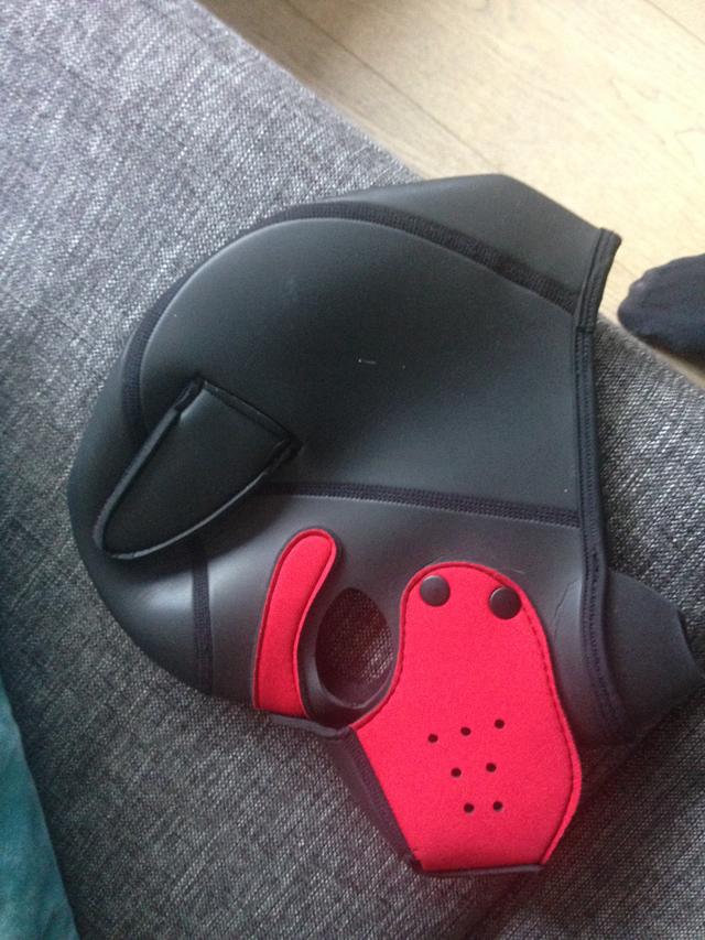 Picture for question