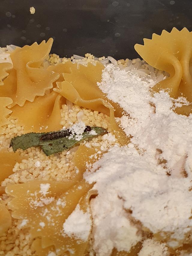 Picture for question