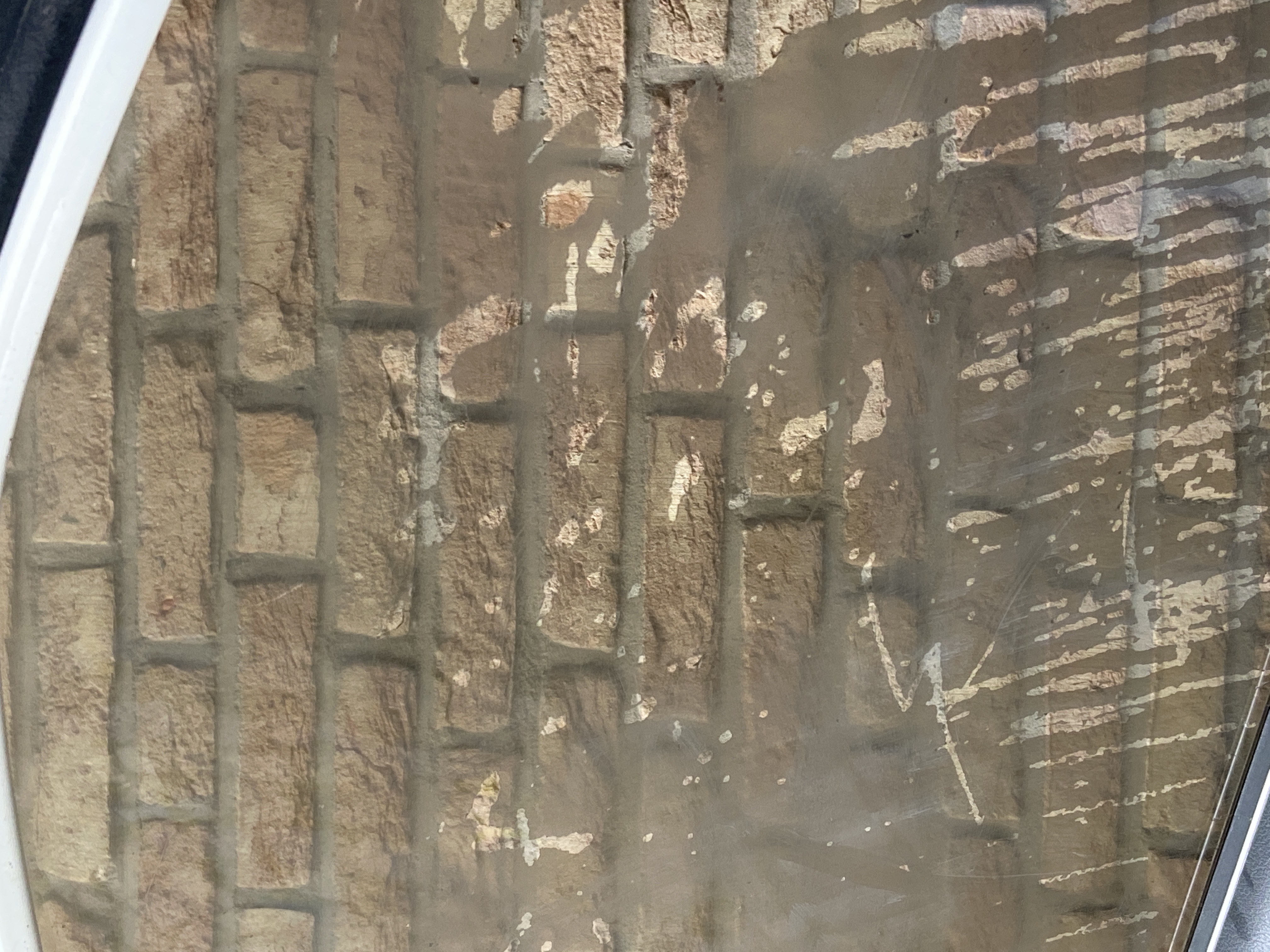 Picture for question