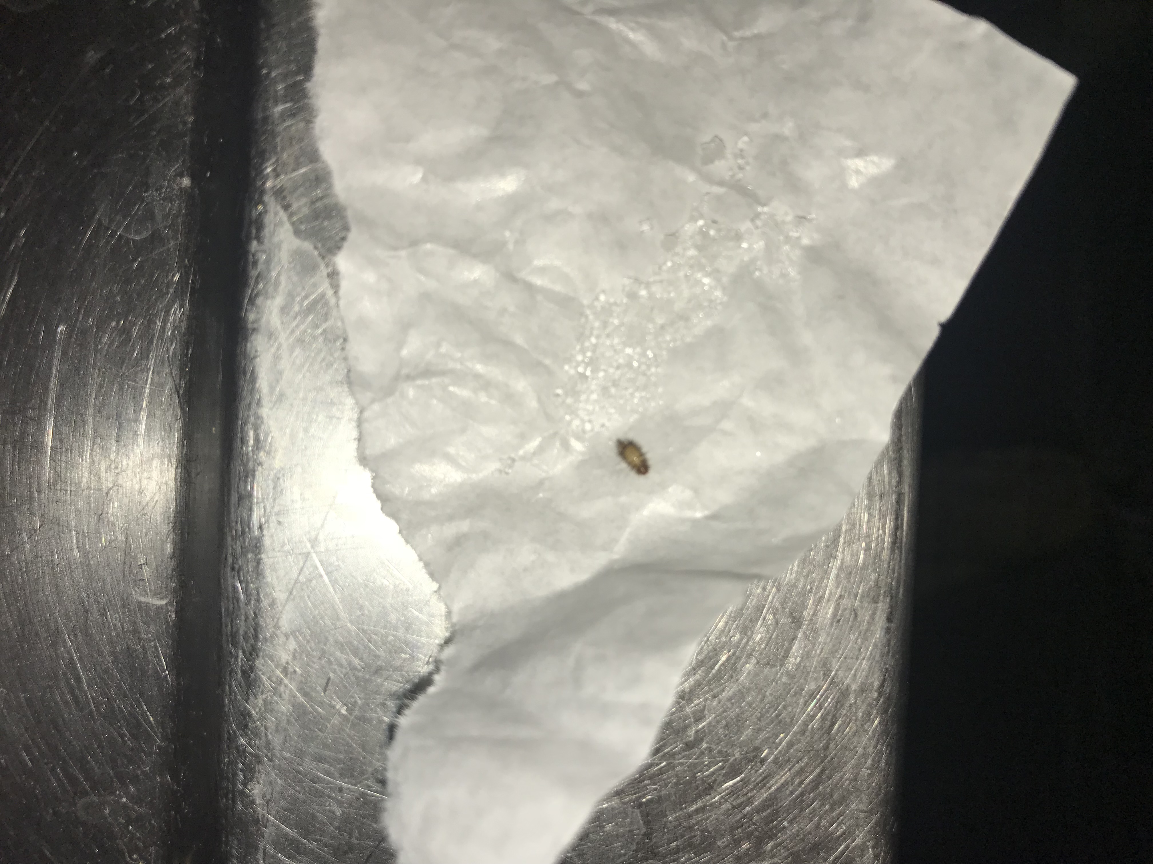 Picture for question