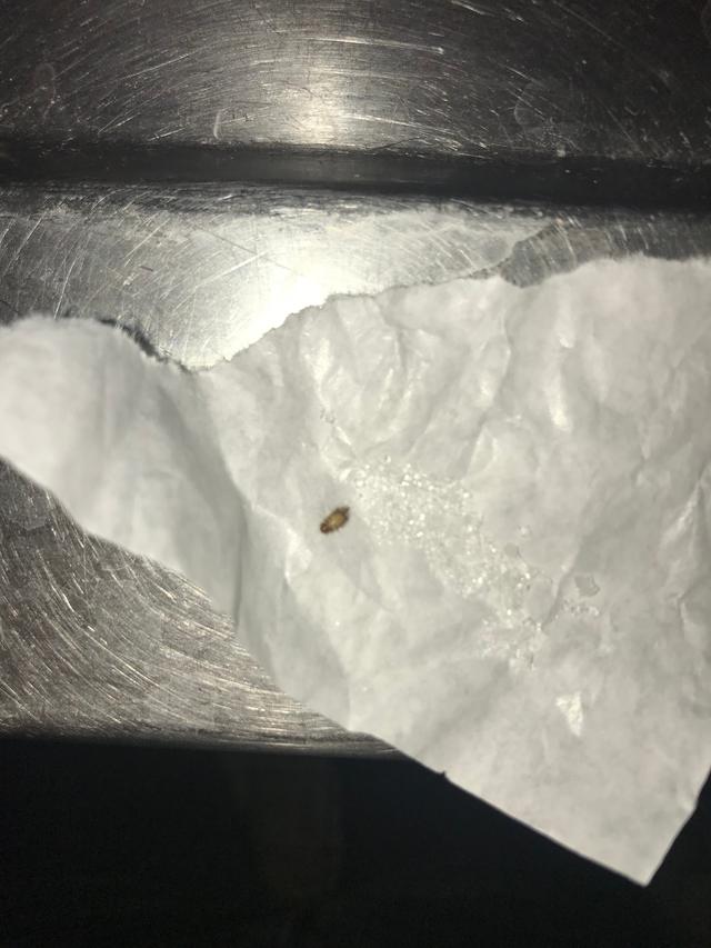 Picture for question