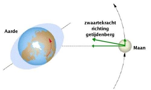 Picture for question