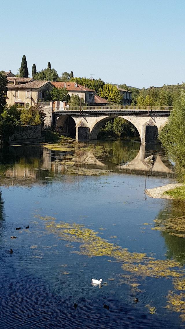 Picture for question