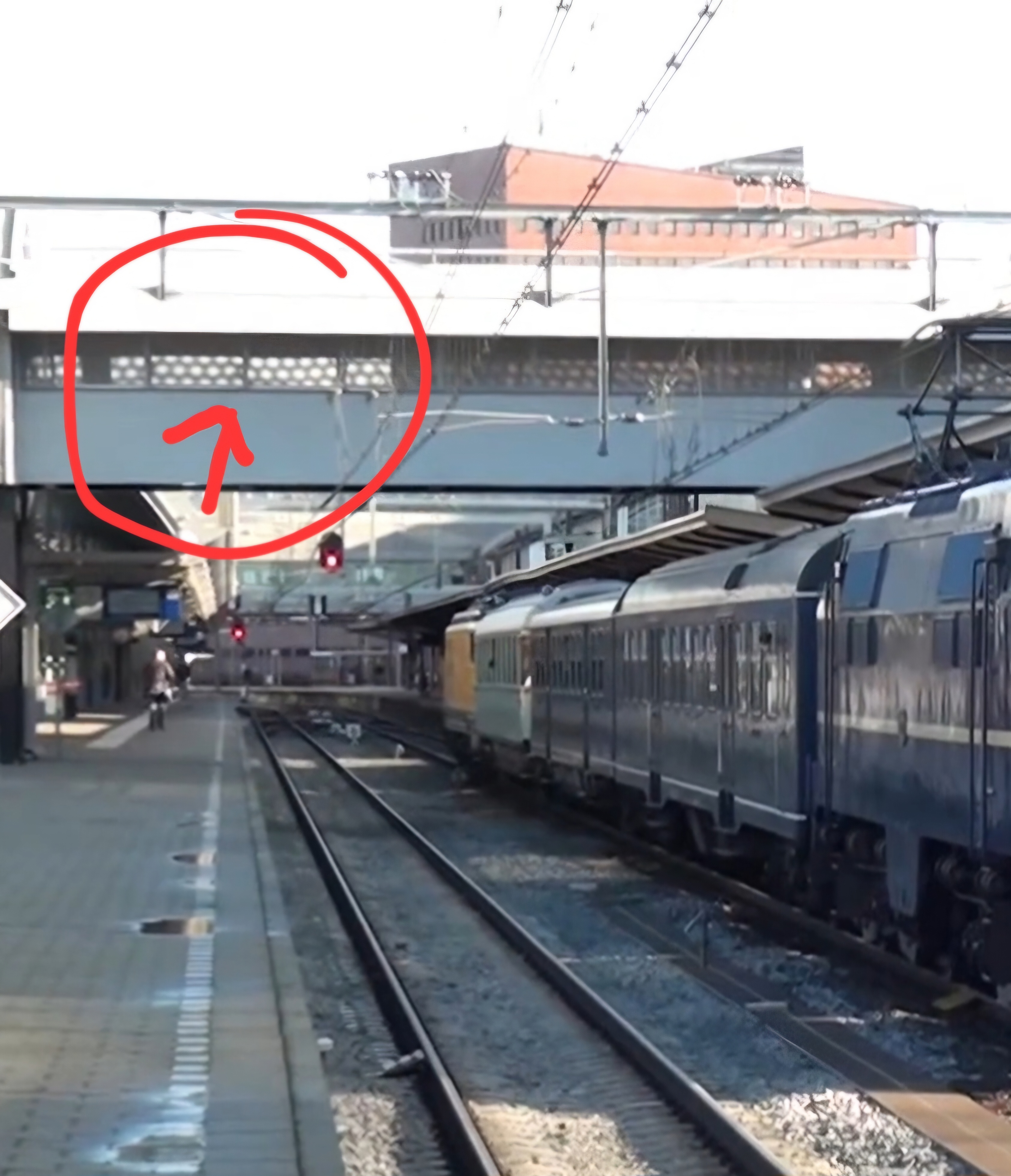 Picture for question