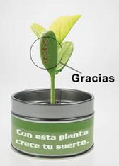 Picture for question