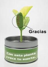 Picture for question