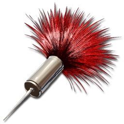 Picture for question