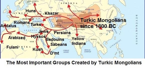 Picture for question