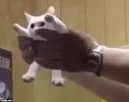 Plaatje bij antwoord