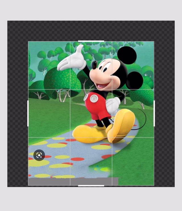 Picture for question