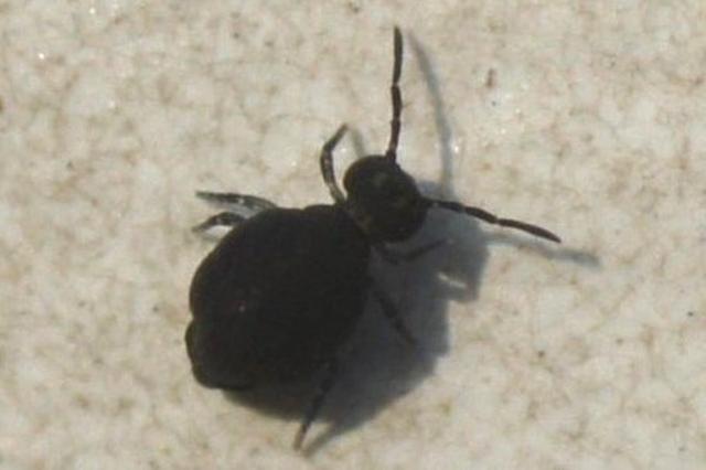 Plaatje bij antwoord