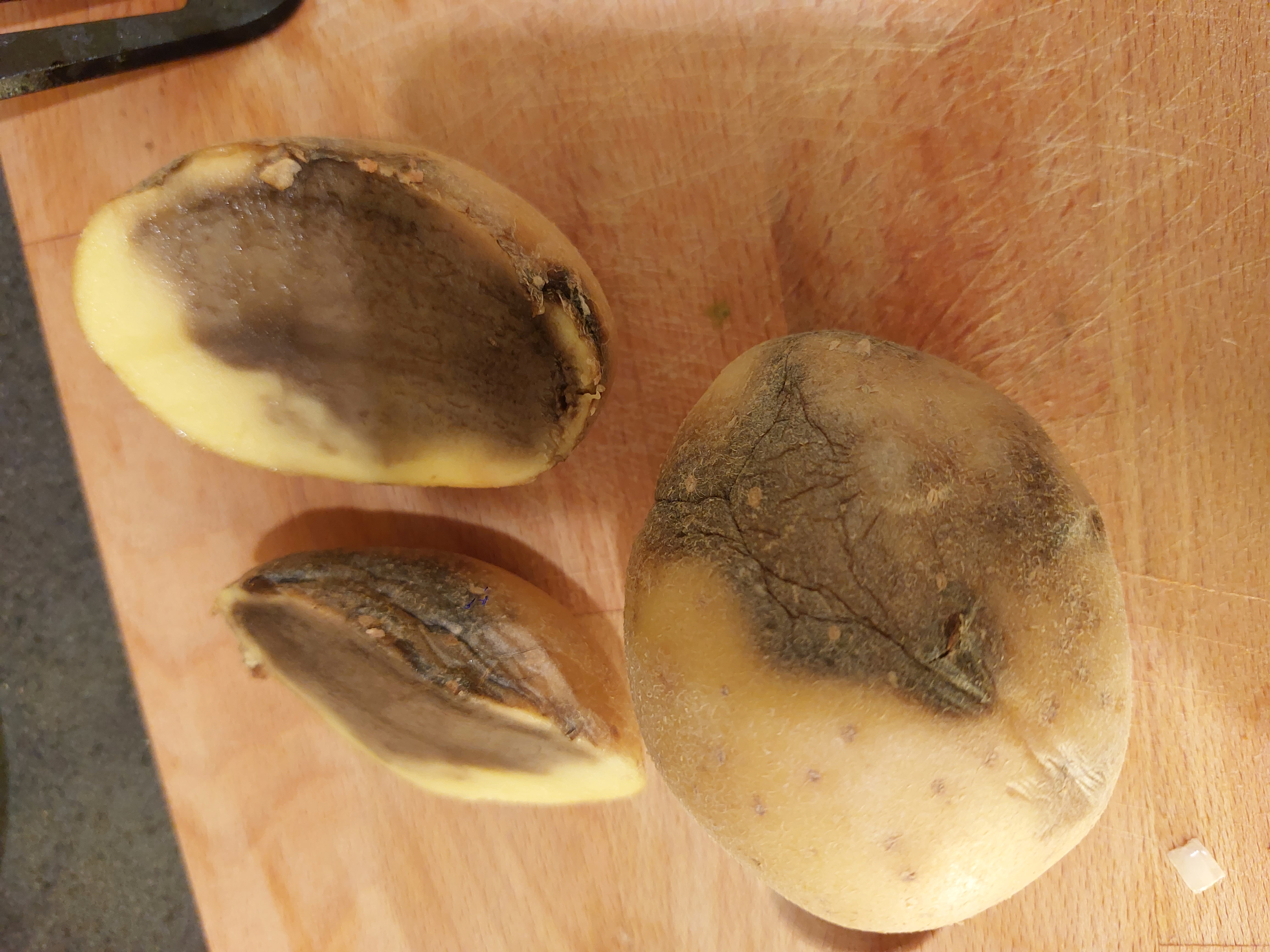 Picture for question