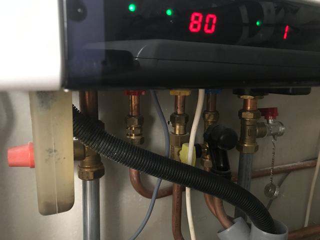 Picture for question