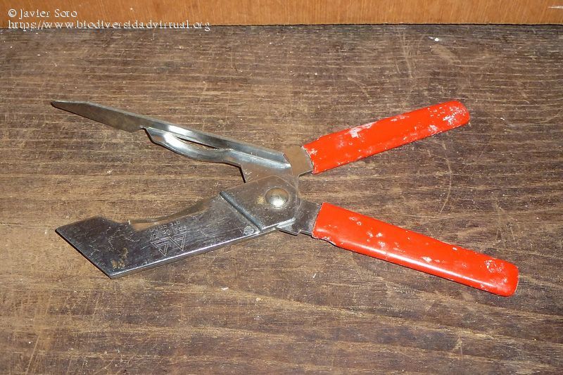 Plaatje bij antwoord