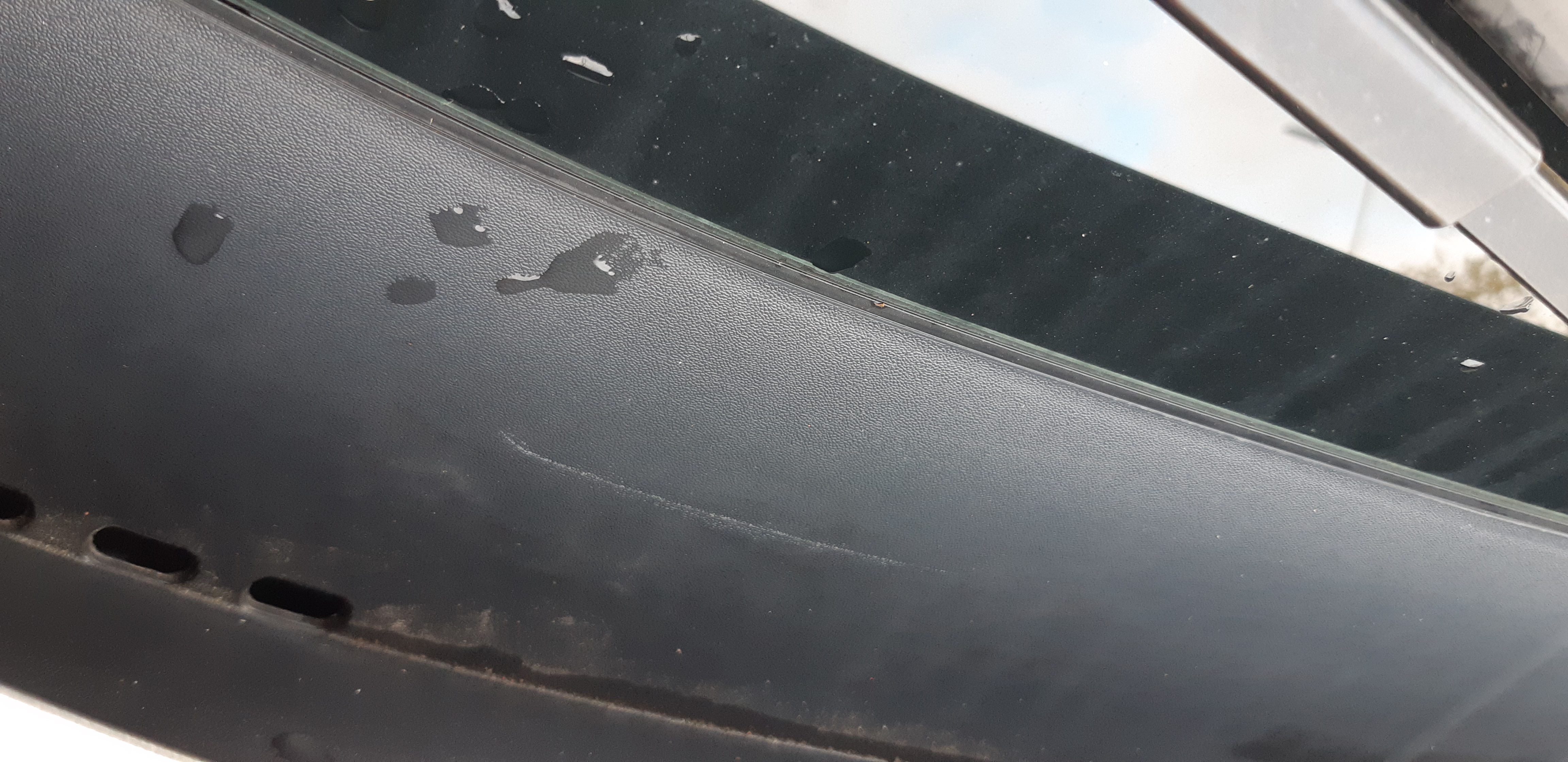 Picture for question