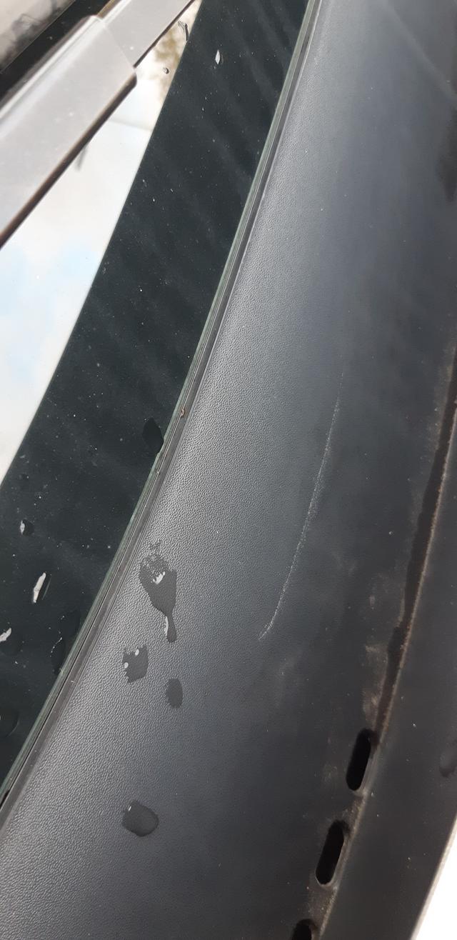 Picture for question