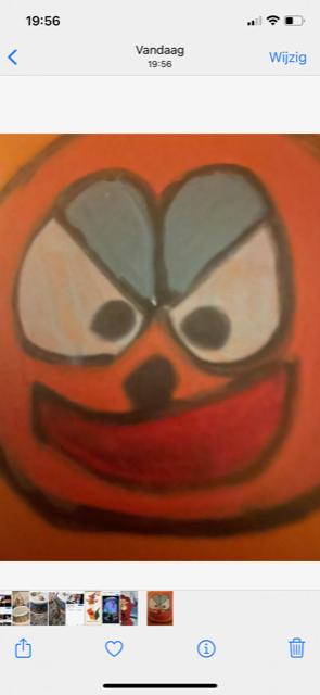 Picture for question