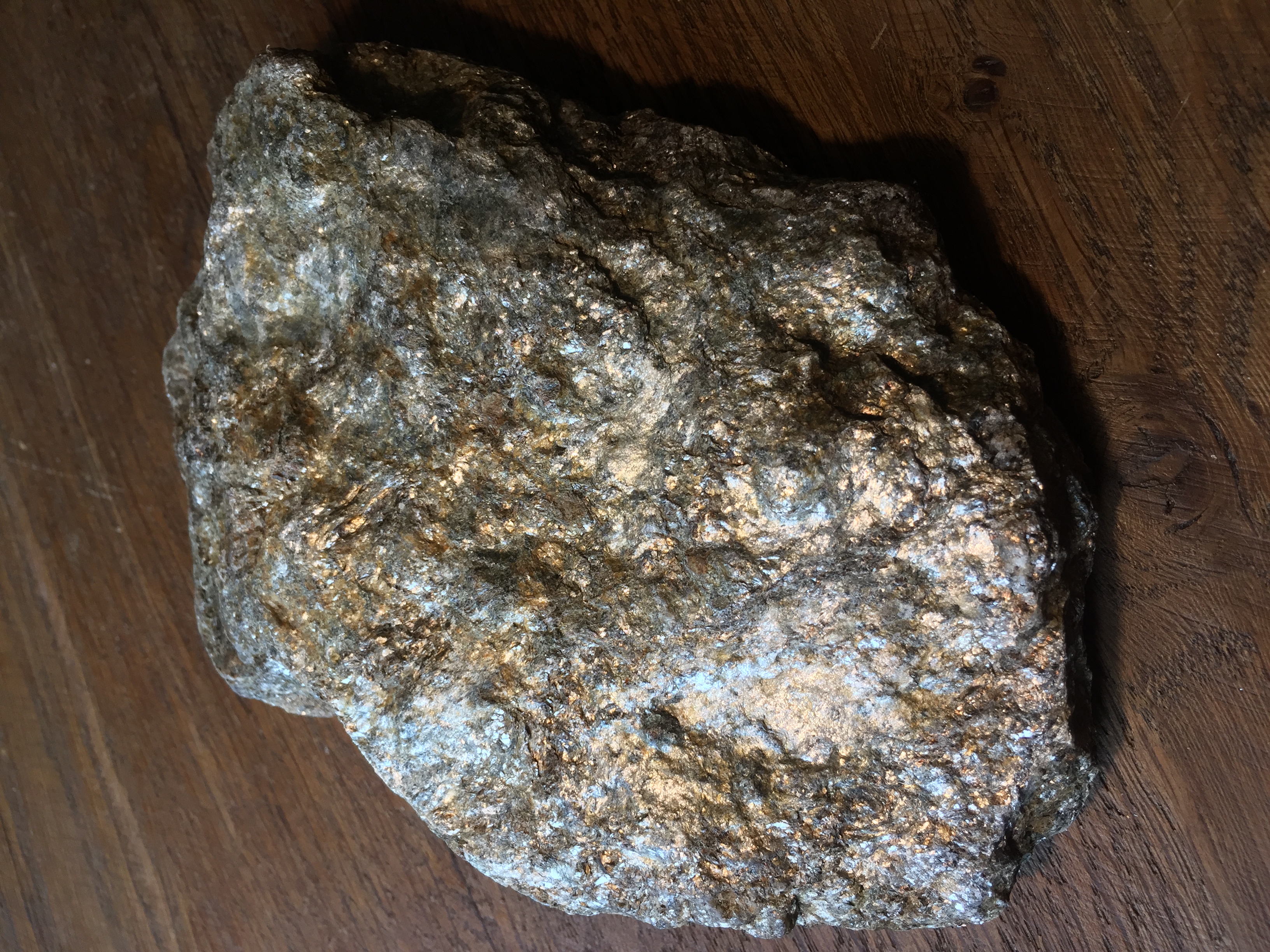 Picture for question