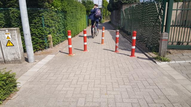 Picture for question