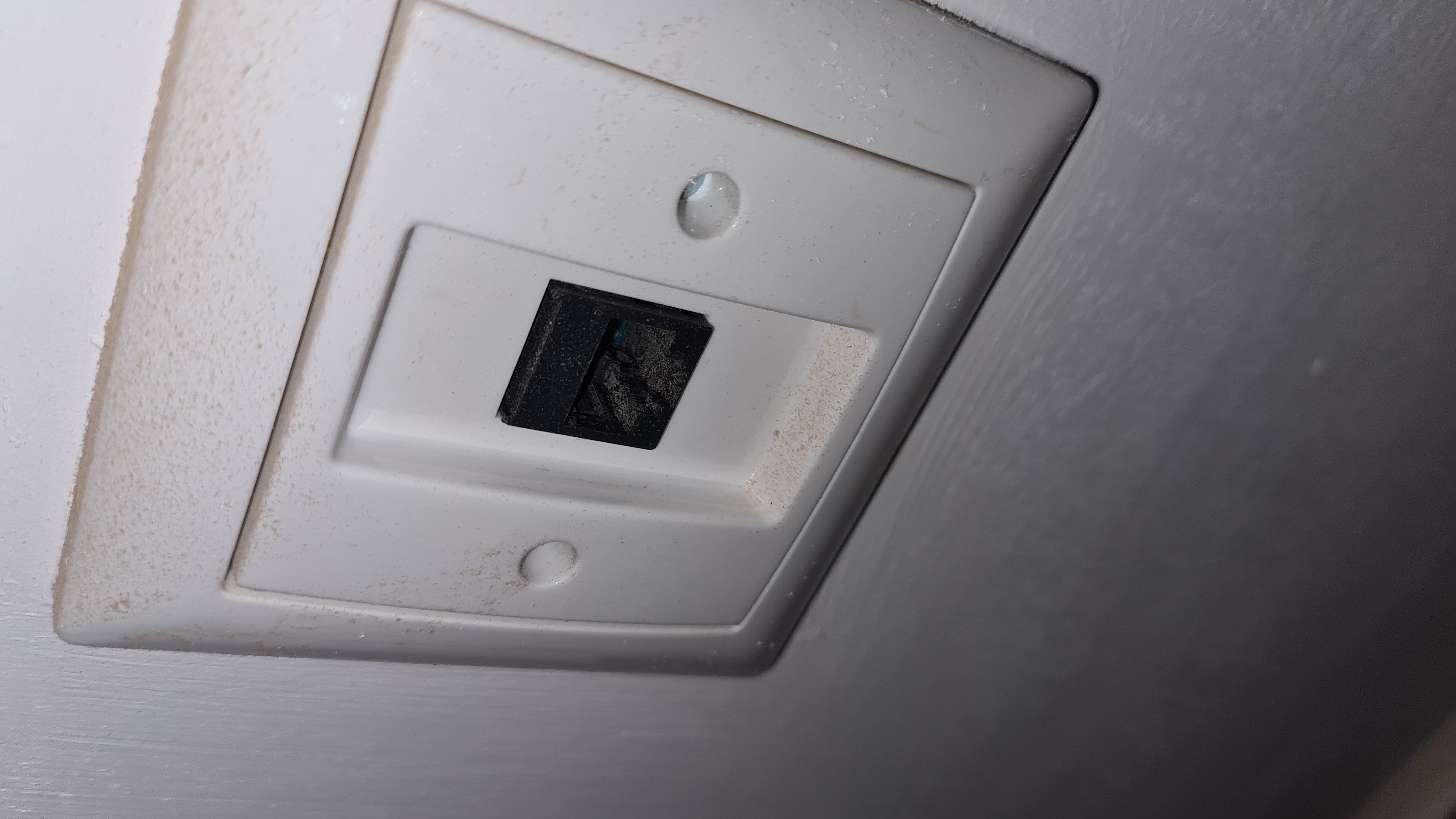 Picture for question