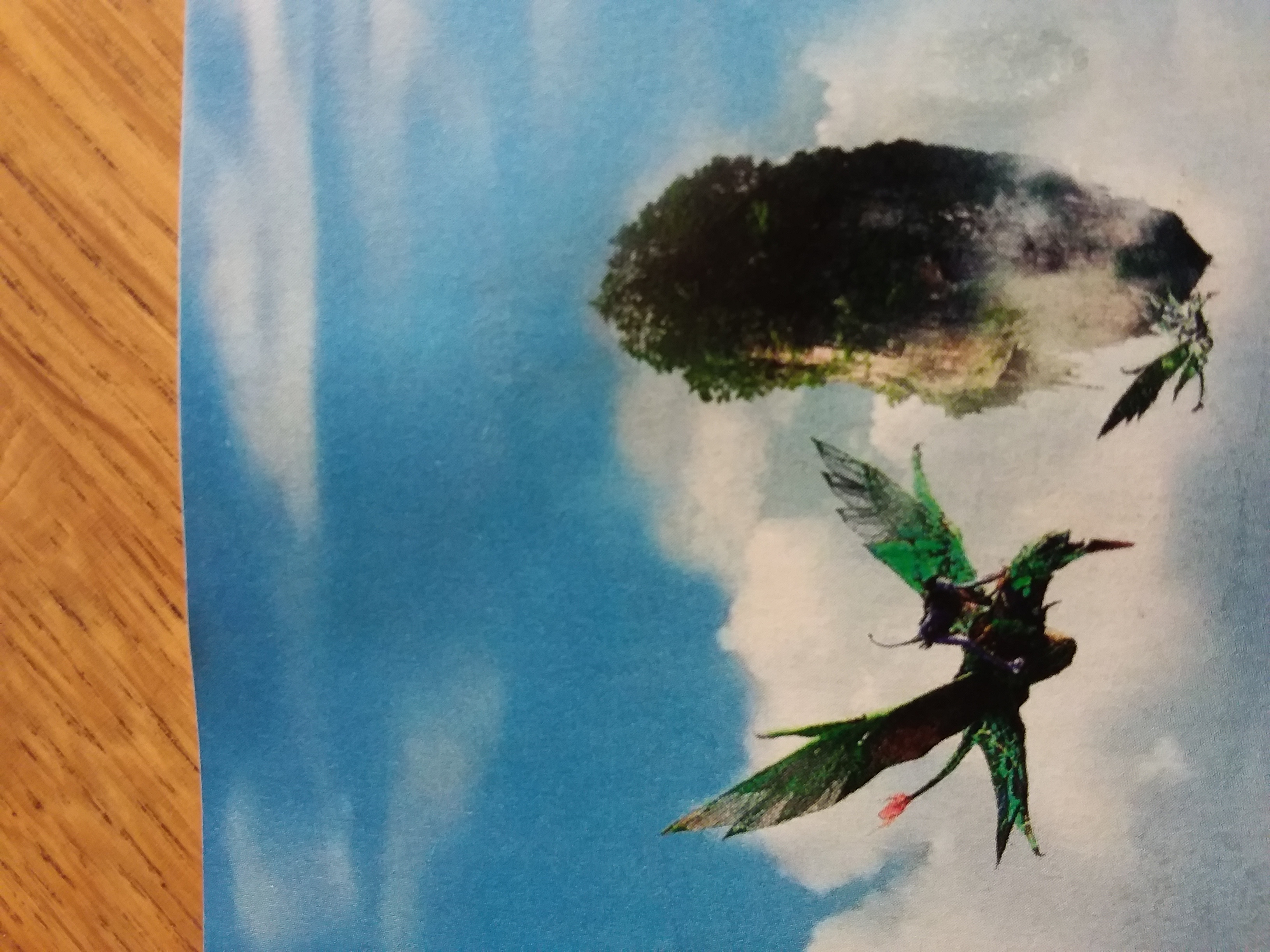 Picture for question