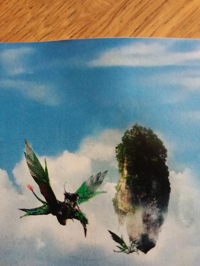 Picture for question
