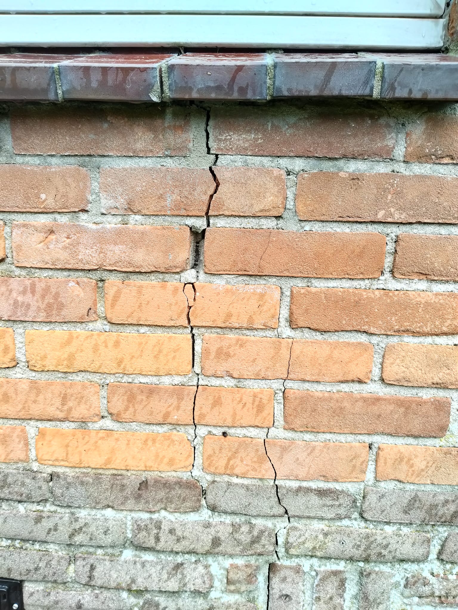 Picture for question