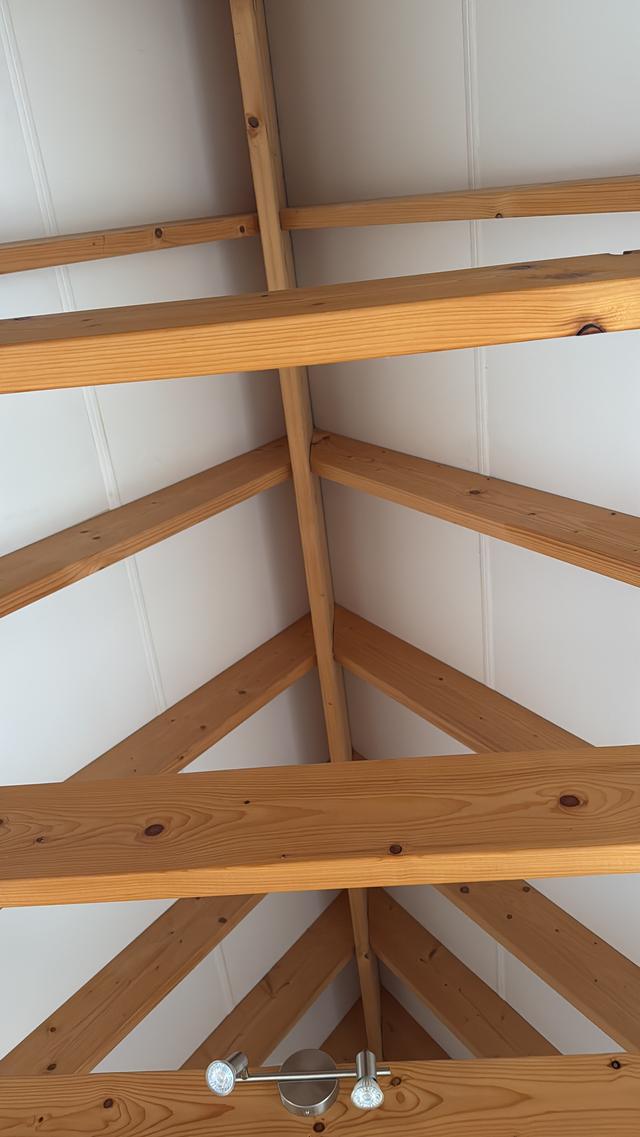 Picture for question