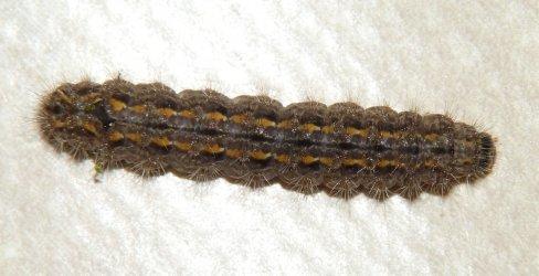 Plaatje bij antwoord