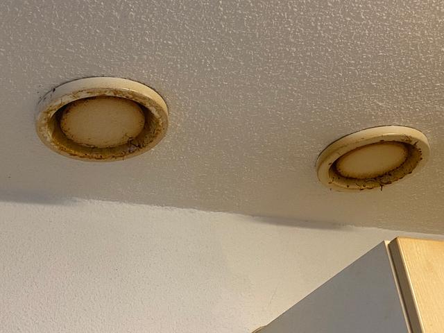 Picture for question