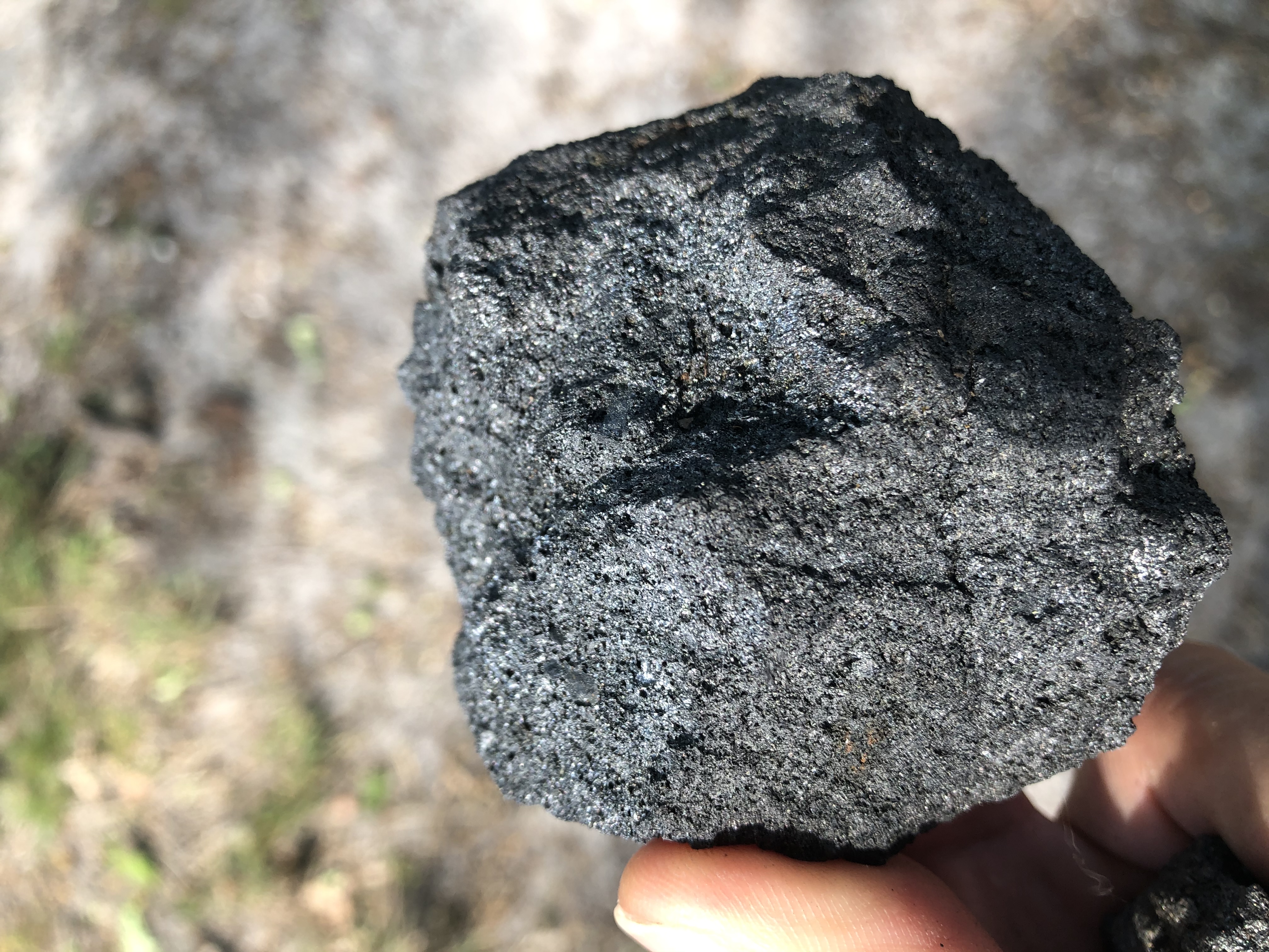 Picture for question