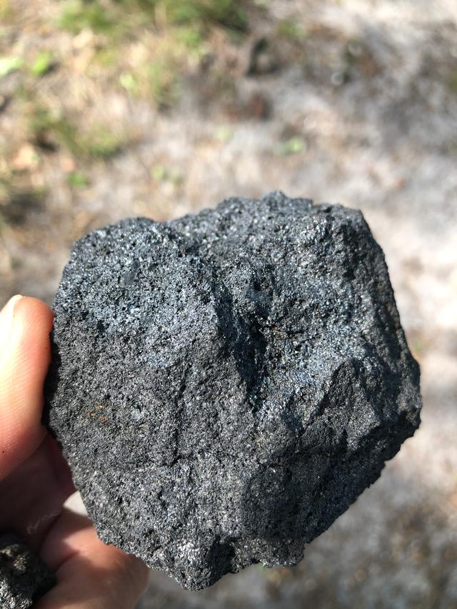 Picture for question