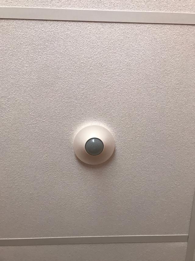 Picture for question