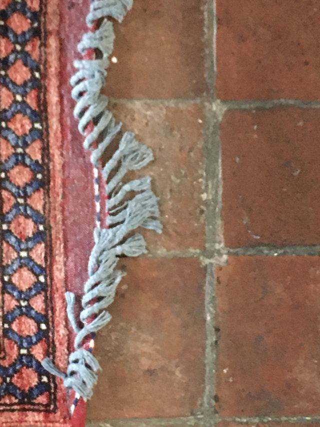 Picture for question