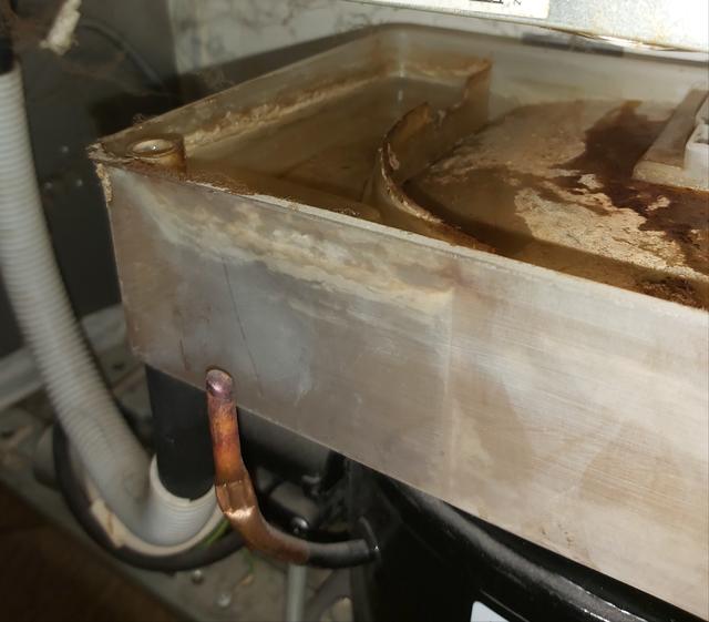 Picture for question