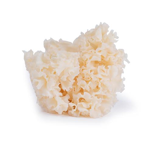 Plaatje bij antwoord