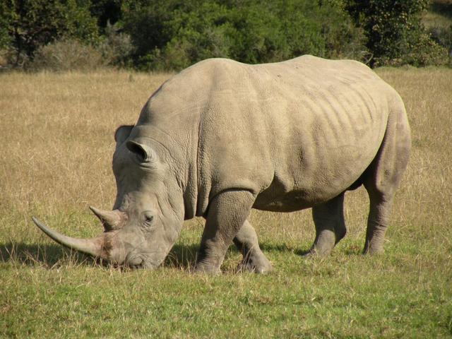 Picture for question