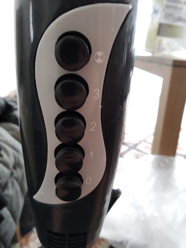 Picture for question