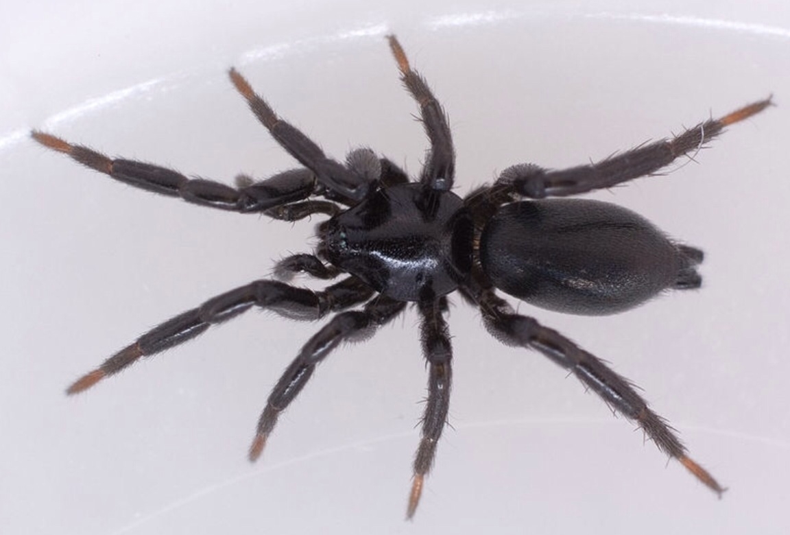 Plaatje bij antwoord