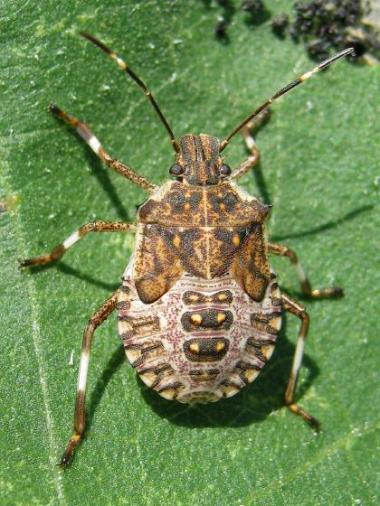 Plaatje bij antwoord