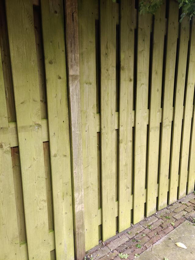 Picture for question