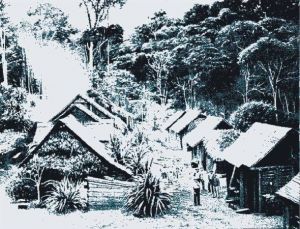 Picture for question