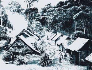 Picture for question