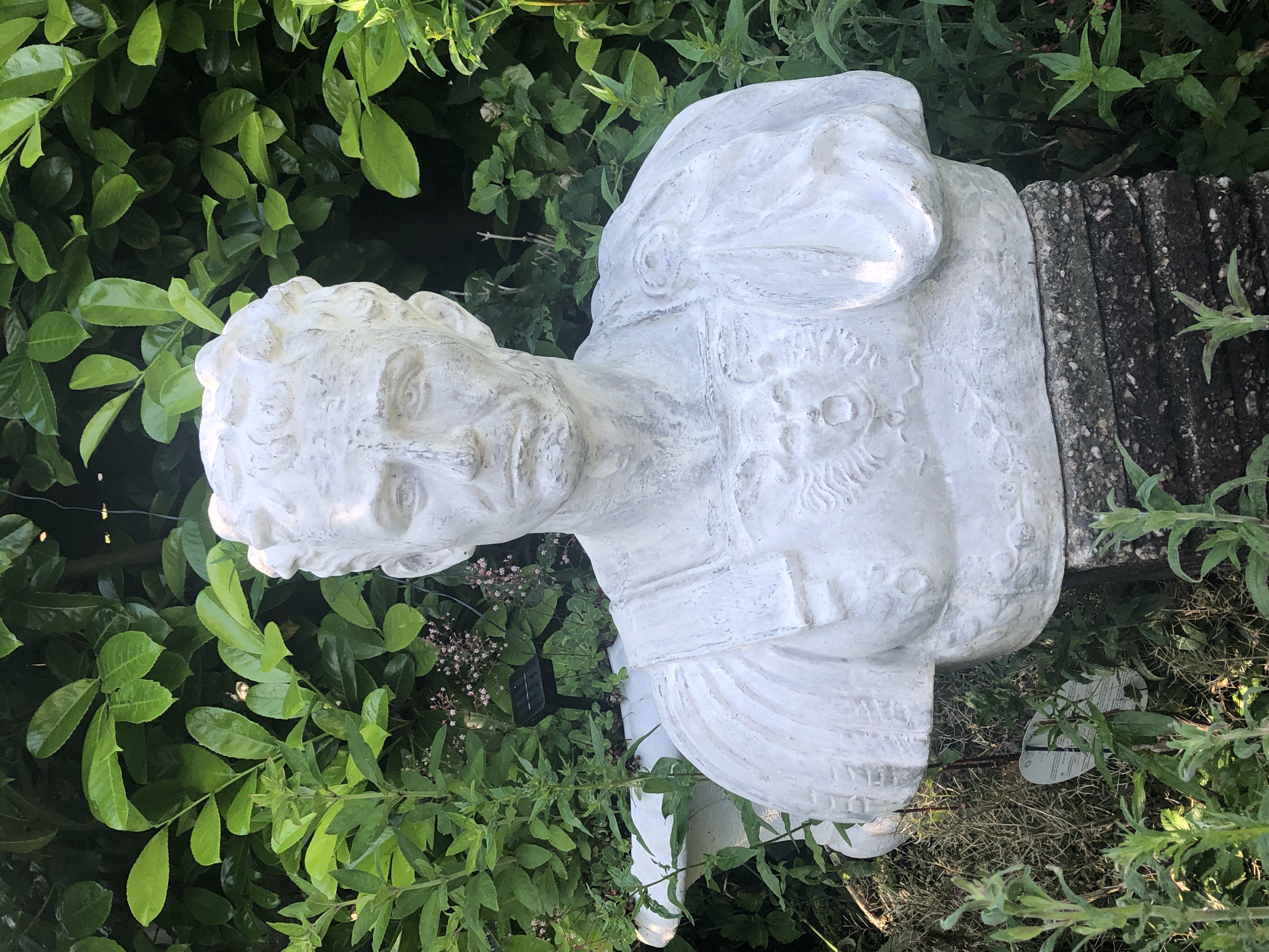 Picture for question